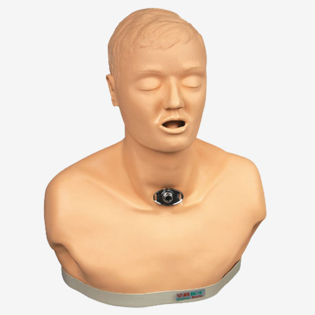 ߼пģ