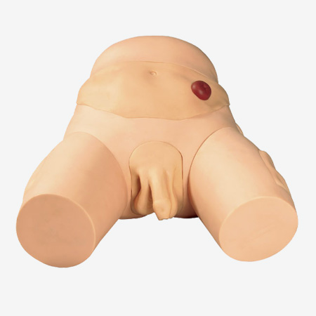 ӵ೦ѧʵϰģ