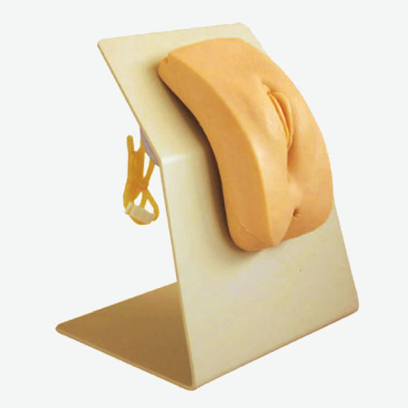 ߼װʽŮԵģ